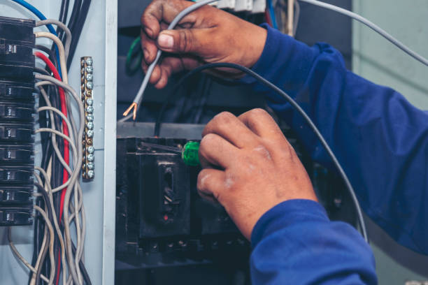 Best Ceiling Fan Installation Electrician  in Reedley, CA